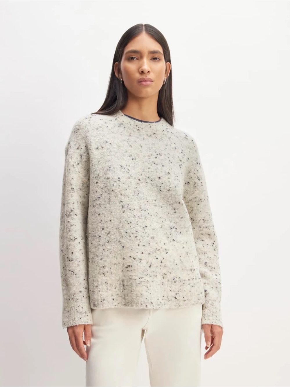 Everlane Merino Wool Blend Oversized Speckled Crewneck Sweater